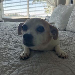 Meet your Posher, Kase